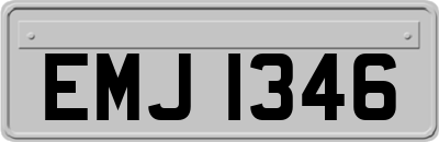 EMJ1346