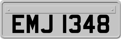 EMJ1348