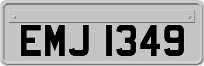 EMJ1349