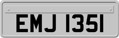 EMJ1351