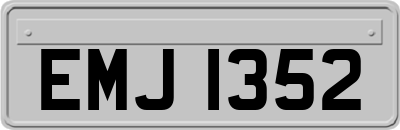 EMJ1352