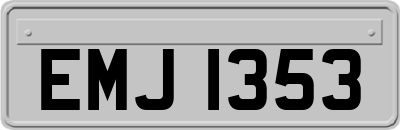 EMJ1353