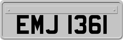 EMJ1361