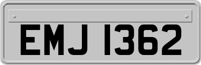 EMJ1362