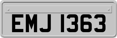EMJ1363