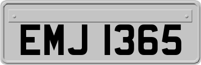 EMJ1365