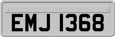 EMJ1368