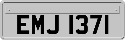 EMJ1371