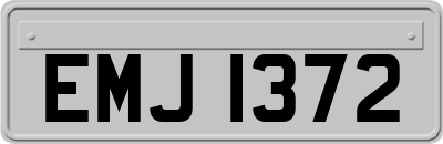 EMJ1372