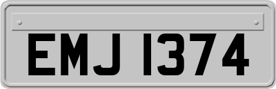 EMJ1374