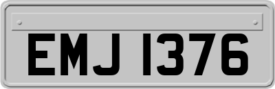EMJ1376
