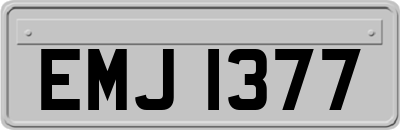 EMJ1377