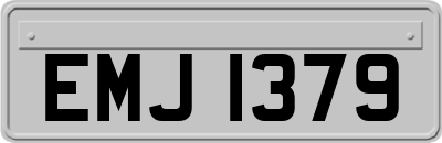 EMJ1379