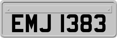 EMJ1383