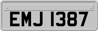 EMJ1387