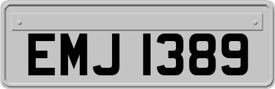EMJ1389