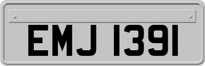 EMJ1391