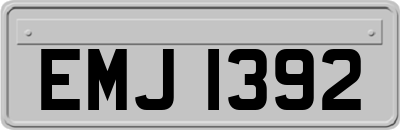 EMJ1392