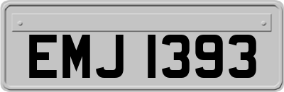 EMJ1393