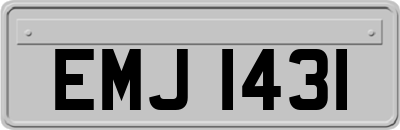 EMJ1431