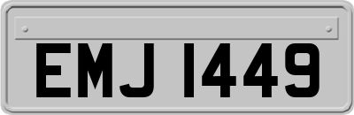 EMJ1449