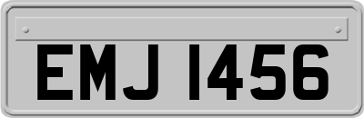 EMJ1456