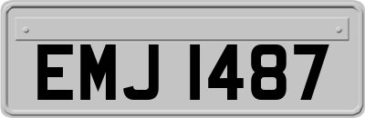 EMJ1487