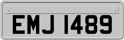 EMJ1489