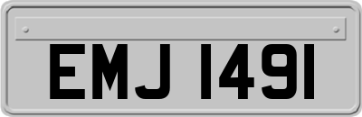 EMJ1491