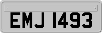 EMJ1493