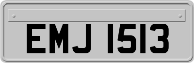 EMJ1513