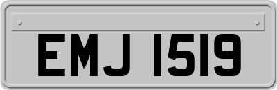 EMJ1519