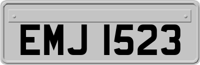 EMJ1523