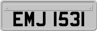 EMJ1531