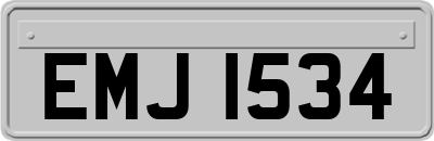 EMJ1534