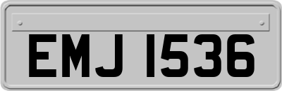 EMJ1536