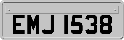 EMJ1538