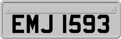 EMJ1593
