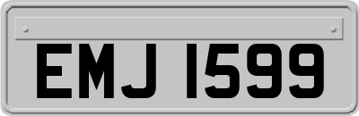 EMJ1599