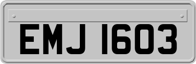 EMJ1603