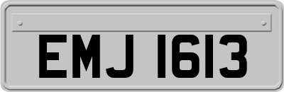 EMJ1613
