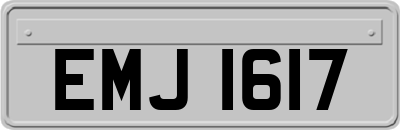 EMJ1617