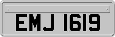 EMJ1619