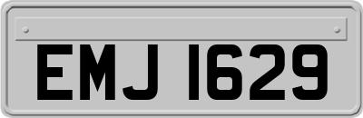 EMJ1629