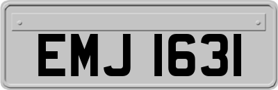 EMJ1631