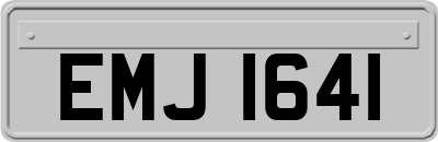 EMJ1641