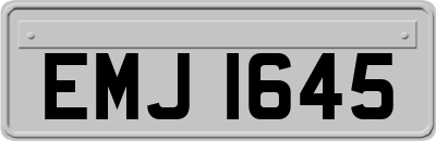 EMJ1645