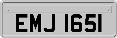 EMJ1651