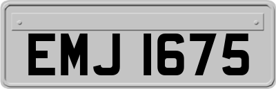 EMJ1675