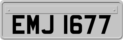 EMJ1677